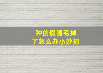 种的假睫毛掉了怎么办小妙招