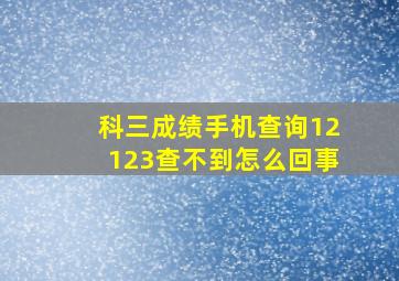 科三成绩手机查询12123查不到怎么回事