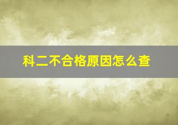 科二不合格原因怎么查