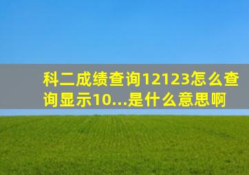 科二成绩查询12123怎么查询显示10...是什么意思啊