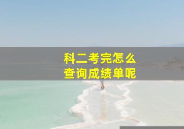 科二考完怎么查询成绩单呢