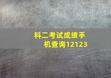 科二考试成绩手机查询12123