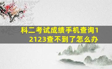 科二考试成绩手机查询12123查不到了怎么办