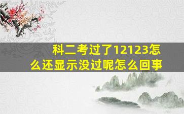 科二考过了12123怎么还显示没过呢怎么回事