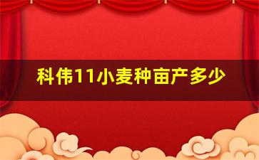 科伟11小麦种亩产多少