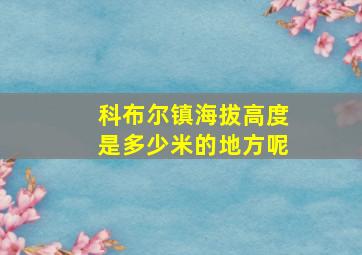 科布尔镇海拔高度是多少米的地方呢