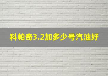 科帕奇3.2加多少号汽油好