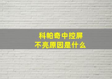 科帕奇中控屏不亮原因是什么