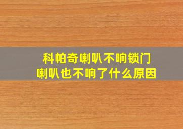 科帕奇喇叭不响锁门喇叭也不响了什么原因