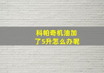 科帕奇机油加了5升怎么办呢