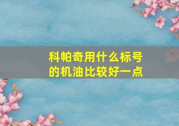 科帕奇用什么标号的机油比较好一点