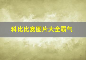 科比比赛图片大全霸气