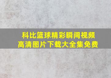 科比篮球精彩瞬间视频高清图片下载大全集免费