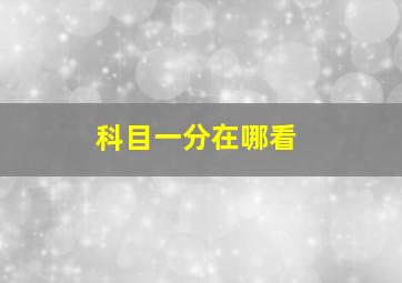 科目一分在哪看