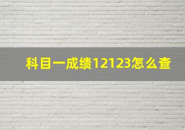 科目一成绩12123怎么查