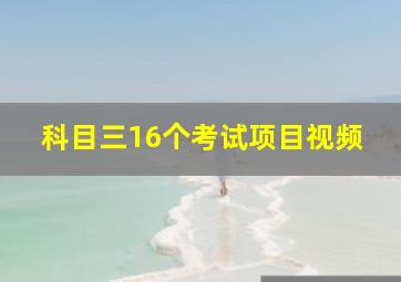 科目三16个考试项目视频