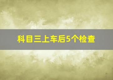 科目三上车后5个检查