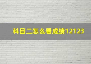 科目二怎么看成绩12123