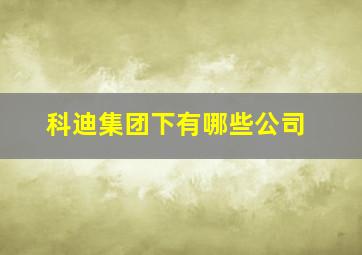 科迪集团下有哪些公司