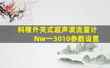 科隆外夹式超声波流量计Nw一3010参数设置