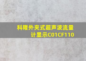 科隆外夹式超声波流量计显示C01CF110