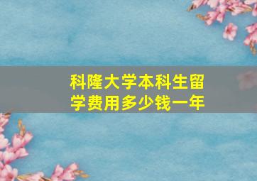 科隆大学本科生留学费用多少钱一年