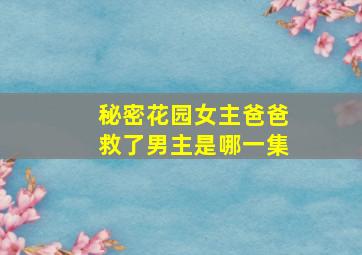 秘密花园女主爸爸救了男主是哪一集