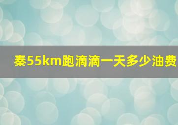 秦55km跑滴滴一天多少油费