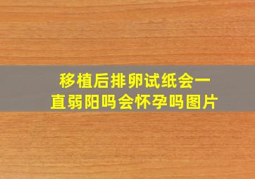 移植后排卵试纸会一直弱阳吗会怀孕吗图片