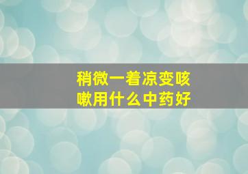 稍微一着凉变咳嗽用什么中药好