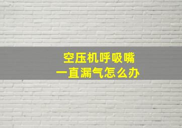 空压机呼吸嘴一直漏气怎么办