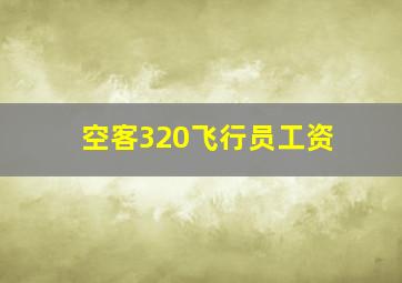 空客320飞行员工资