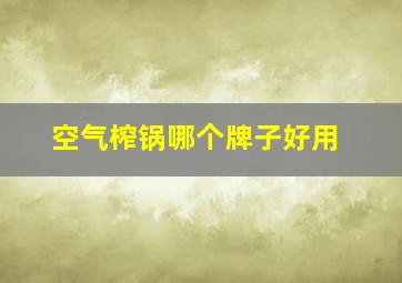 空气榨锅哪个牌子好用