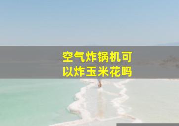 空气炸锅机可以炸玉米花吗