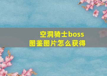 空洞骑士boss图鉴图片怎么获得