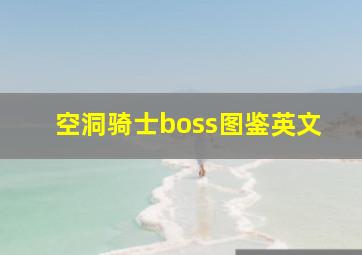 空洞骑士boss图鉴英文