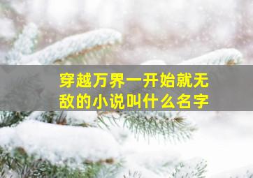 穿越万界一开始就无敌的小说叫什么名字