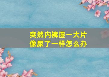 突然内裤湿一大片像尿了一样怎么办