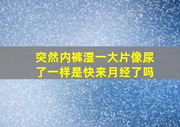 突然内裤湿一大片像尿了一样是快来月经了吗