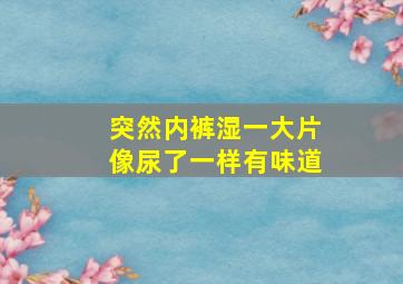 突然内裤湿一大片像尿了一样有味道