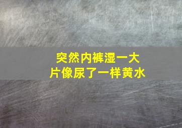 突然内裤湿一大片像尿了一样黄水