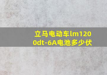 立马电动车lm1200dt-6A电池多少伏