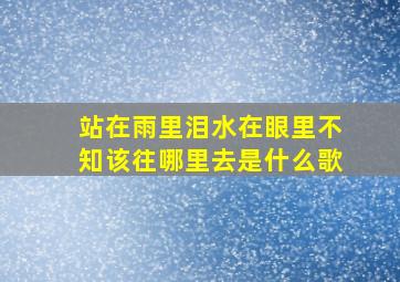 站在雨里泪水在眼里不知该往哪里去是什么歌