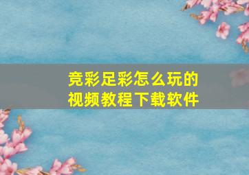 竞彩足彩怎么玩的视频教程下载软件