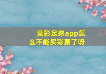 竞彩足球app怎么不能买彩票了呀