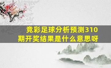 竞彩足球分析预测310期开奖结果是什么意思呀