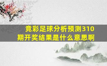 竞彩足球分析预测310期开奖结果是什么意思啊