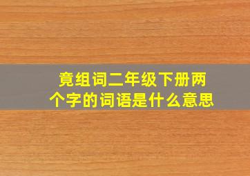 竟组词二年级下册两个字的词语是什么意思