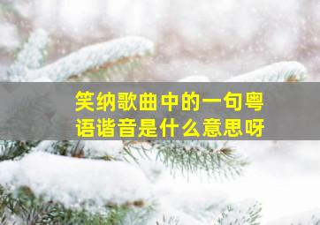 笑纳歌曲中的一句粤语谐音是什么意思呀