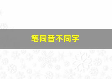 笔同音不同字